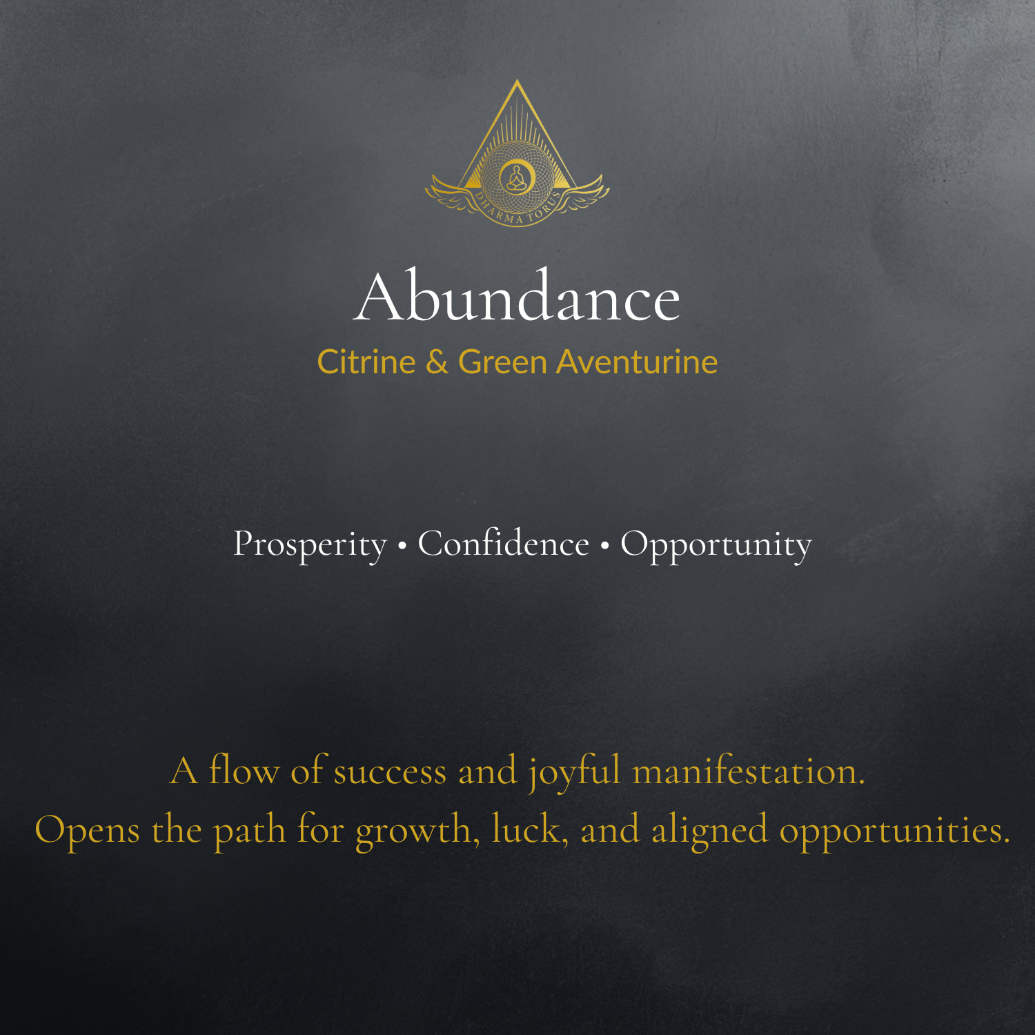 Abundance — Spiritual Luxury Torus Pendant