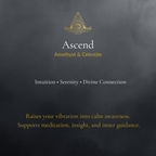 Ascend — Spiritual Luxury Torus Pendant