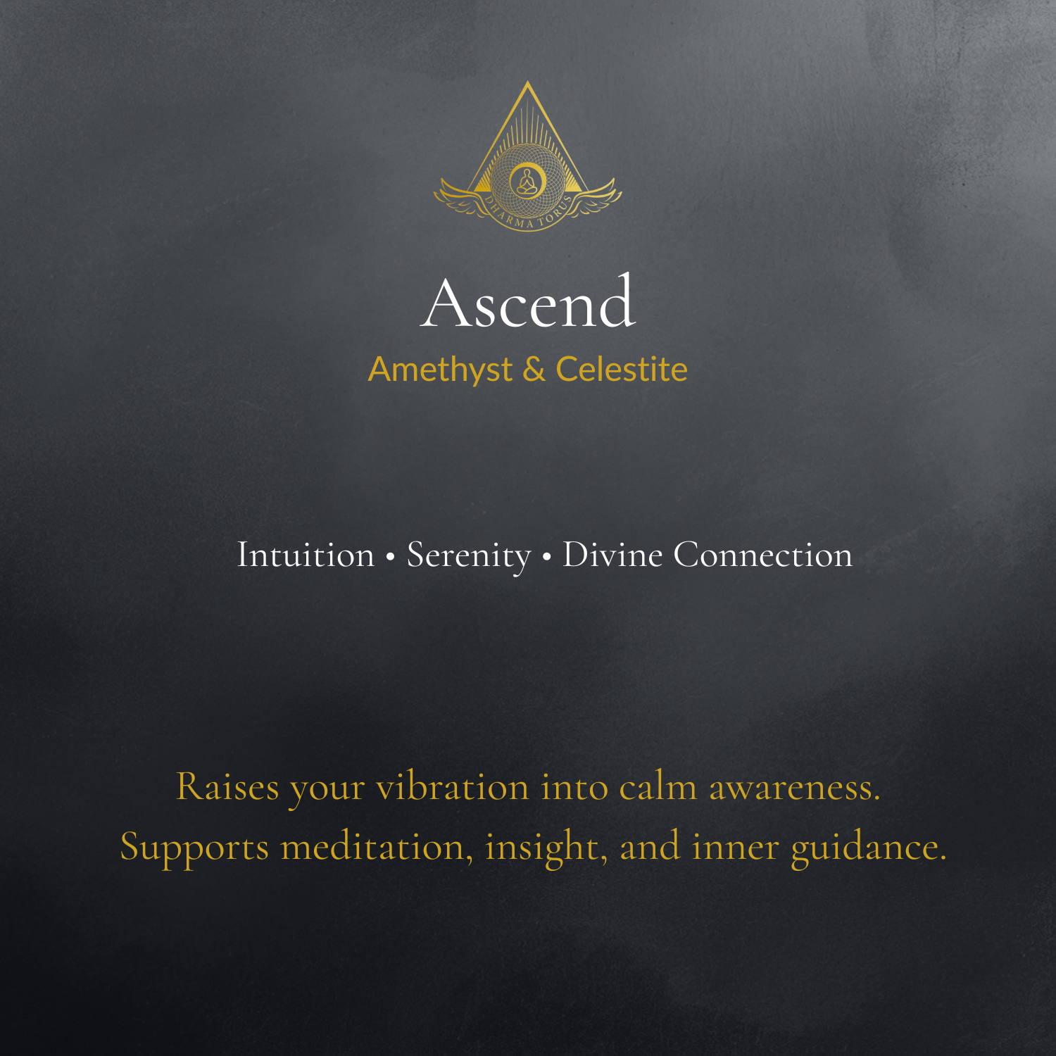 Ascend — Spiritual Luxury Torus Pendant