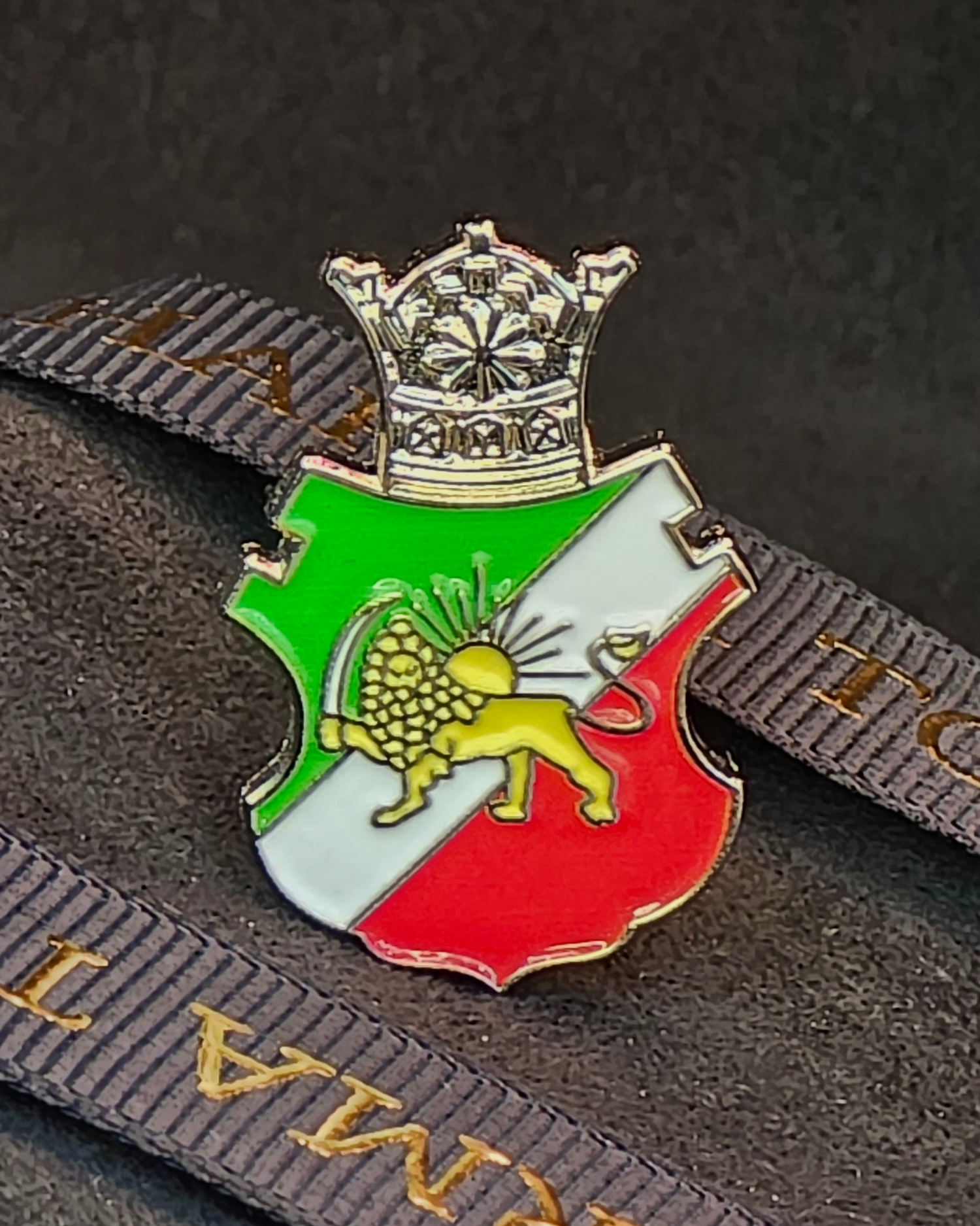 Lion & Sun Shir o Khorshid Enamel Lapel Pin – Raised Gold Persian Heritage Emblem