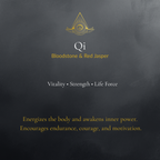 Qi — Spiritual Luxury Torus Pendant