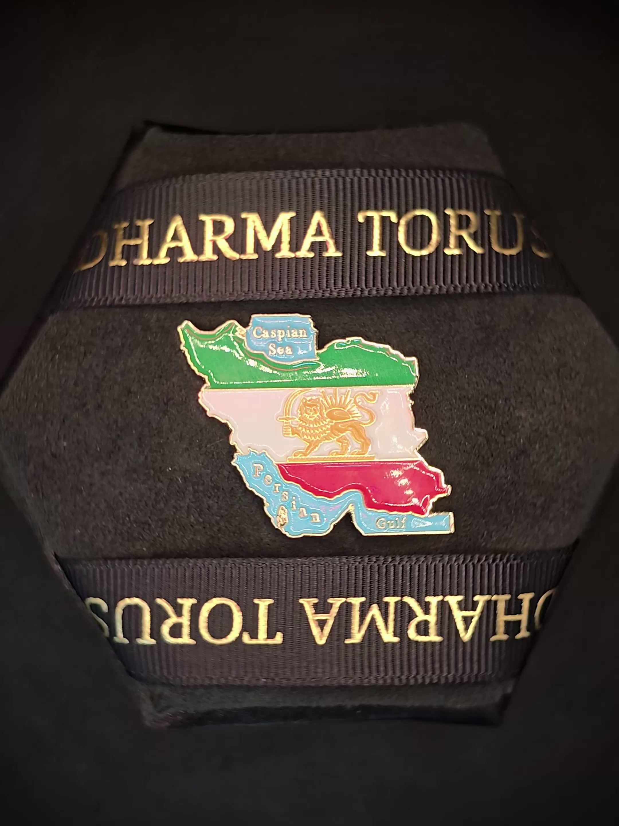 Lion & Sun Shir o Khorshid Iran Map Pin Brooch – Raised Gold Persian Heritage Emblem