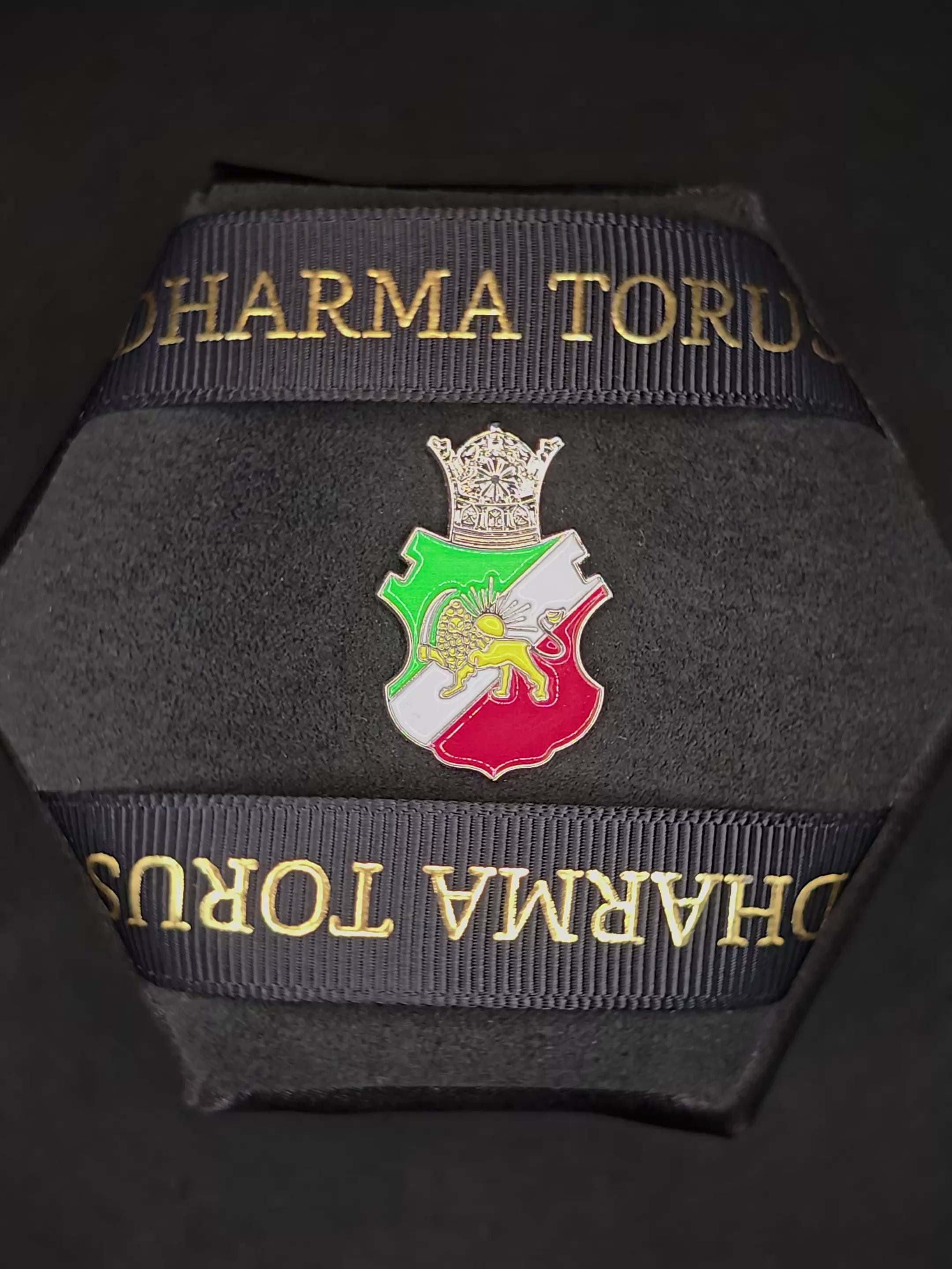 Lion & Sun Shir o Khorshid Enamel Lapel Pin – Raised Gold Persian Heritage Emblem