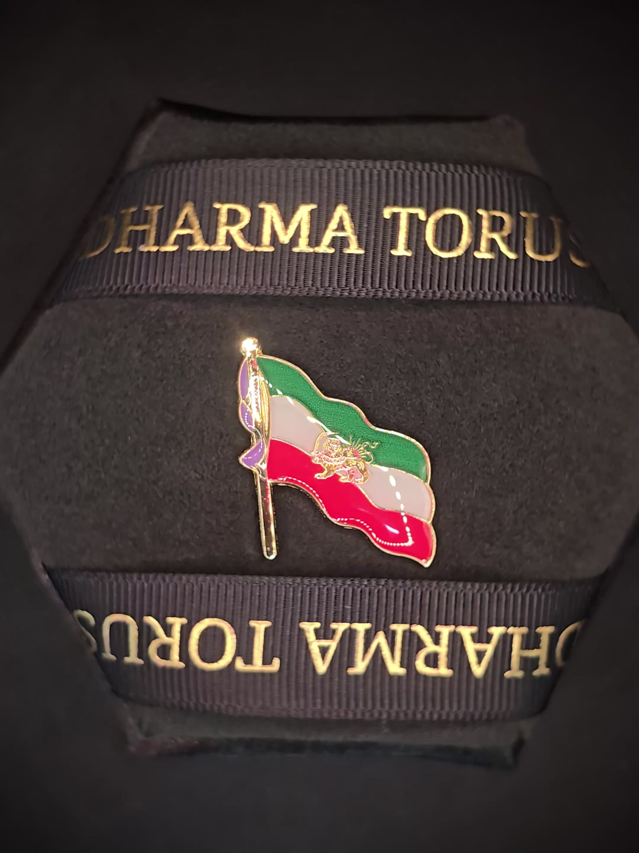 Lion & Sun Shir o Khorshid Iran Flag Pin Brooch – Raised Gold Persian Heritage Emblem